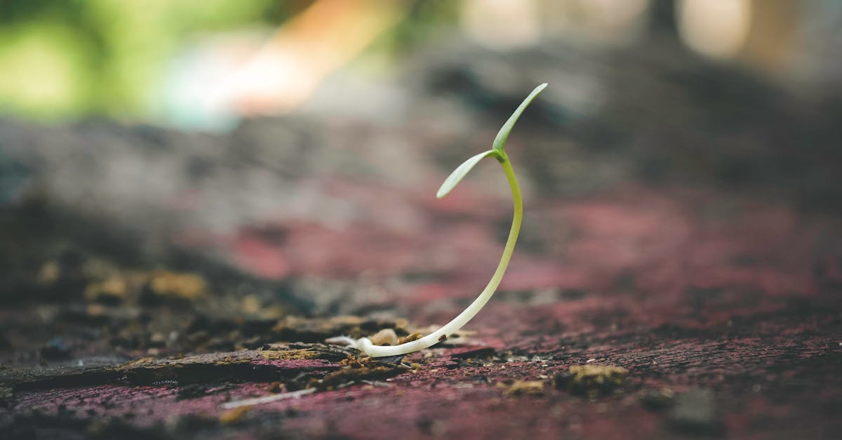 discover the essential strategies for personal and professional growth. unlock your potential with insights on self-improvement, goal setting, and effective habits to thrive in an ever-evolving world.