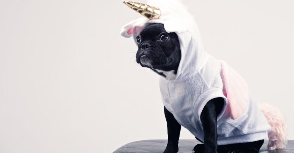 discover everything you need to know about puppies, including care tips, training advice, and fun facts to help you enjoy your adorable new furry friend.