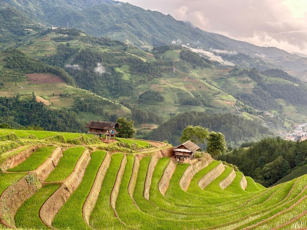 guide complet pour voyager au vietnam : découvrez les meilleures destinations, conseils pratiques, culture et gastronomie vietnamienne pour un séjour inoubliable.